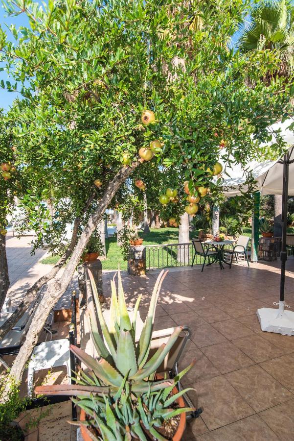 Oasis Studios Malia Dış mekan fotoğraf